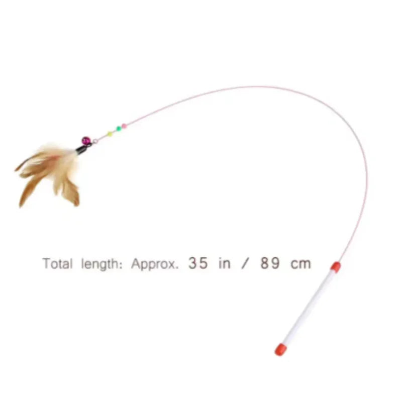 30