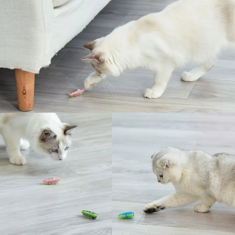 36