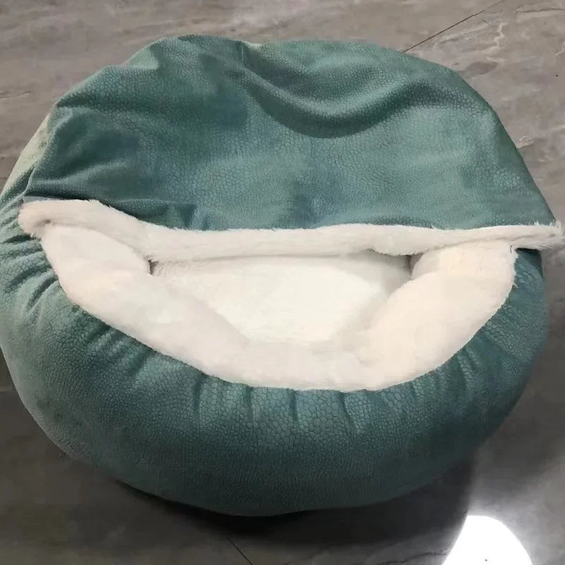 22