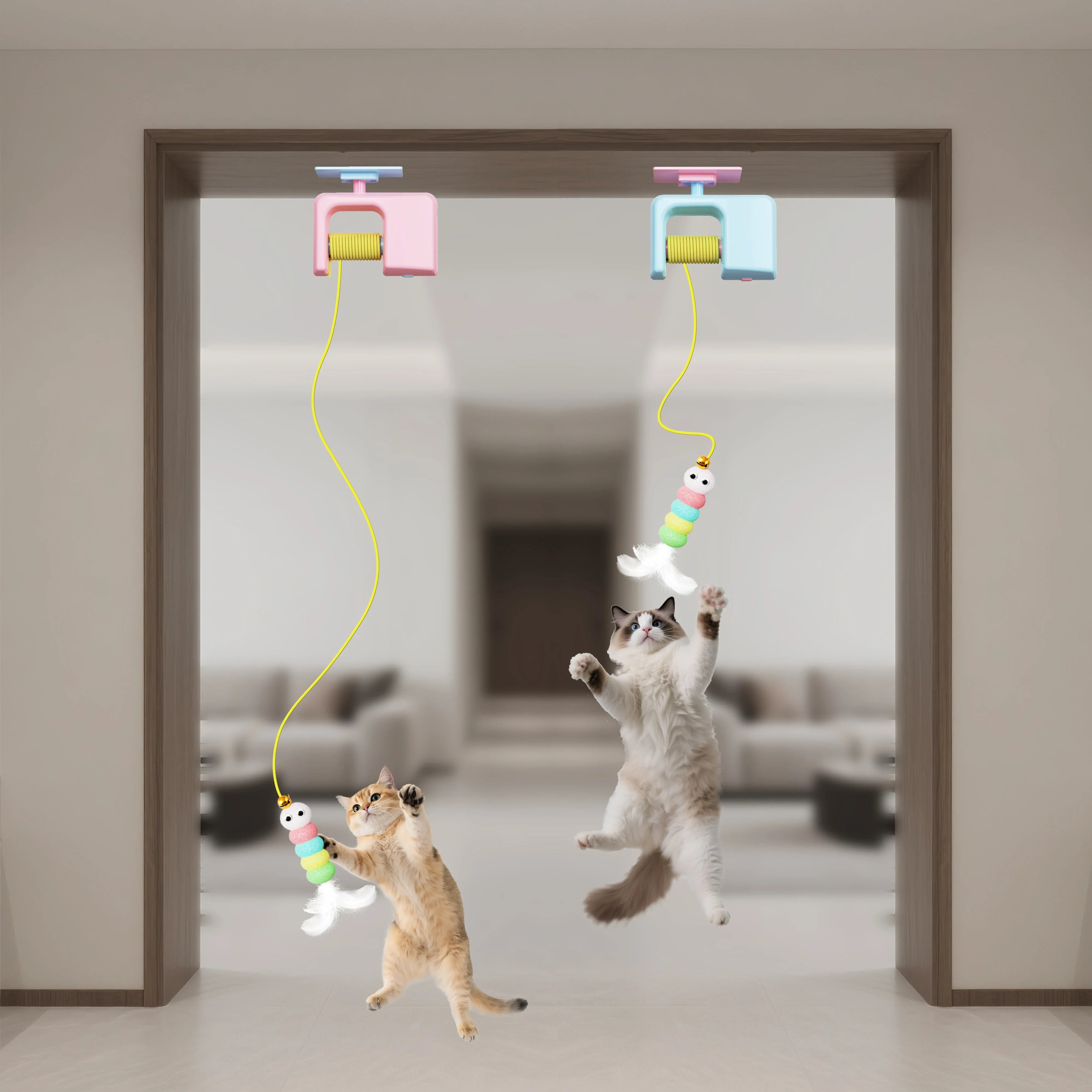 6
