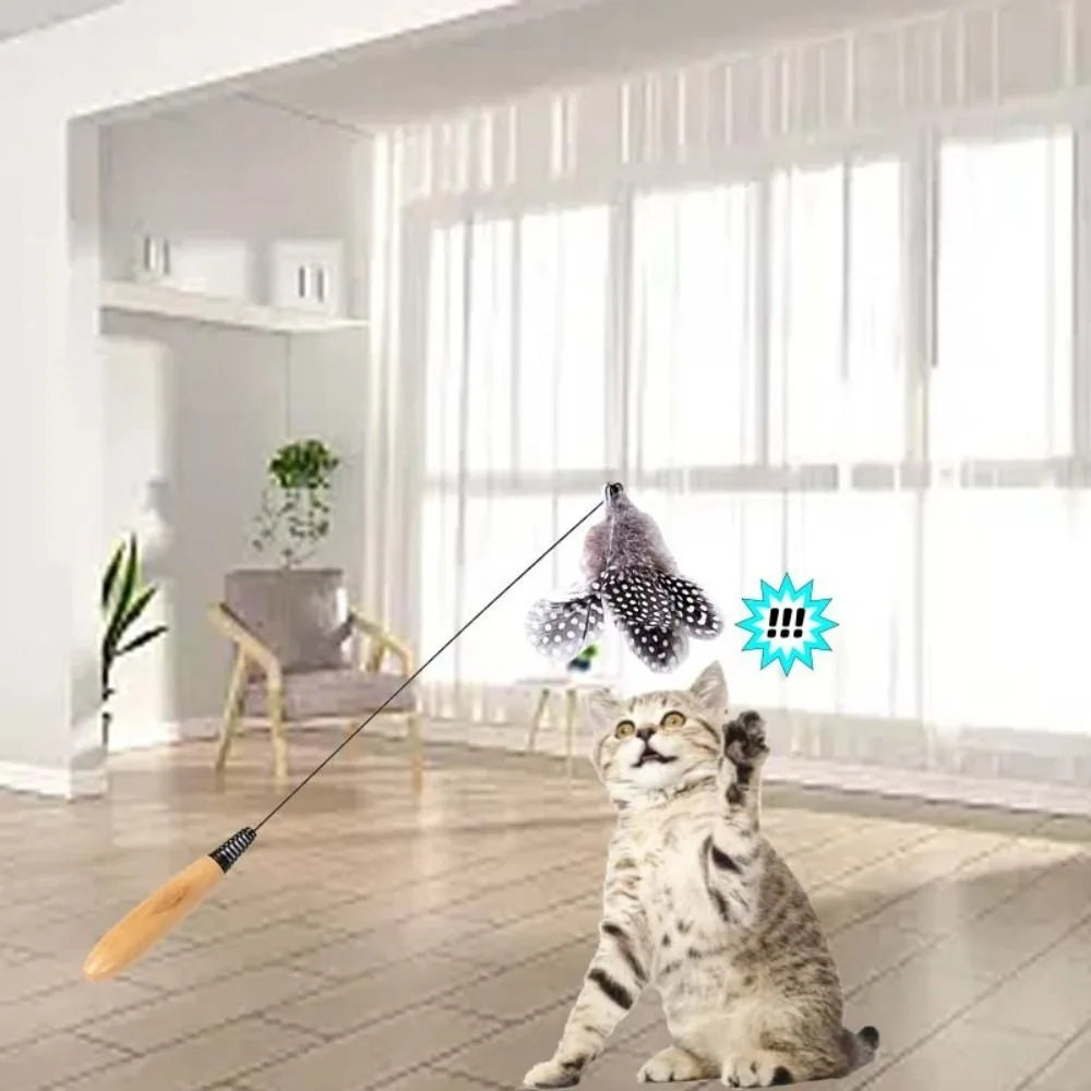 23
