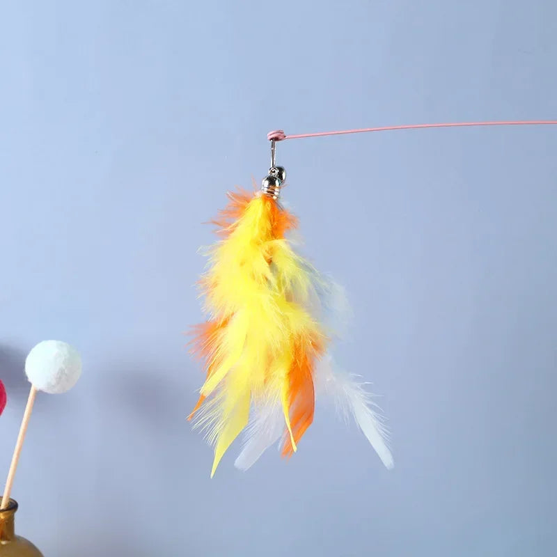61