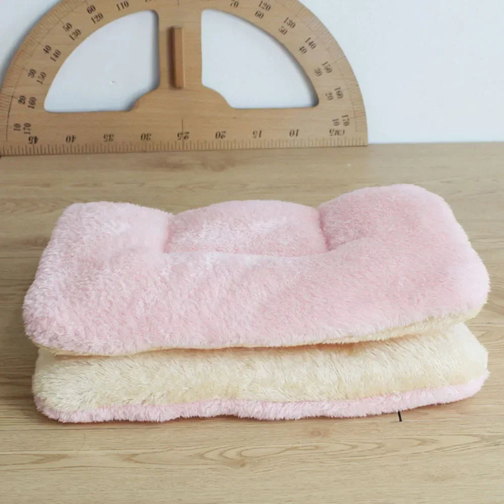 31