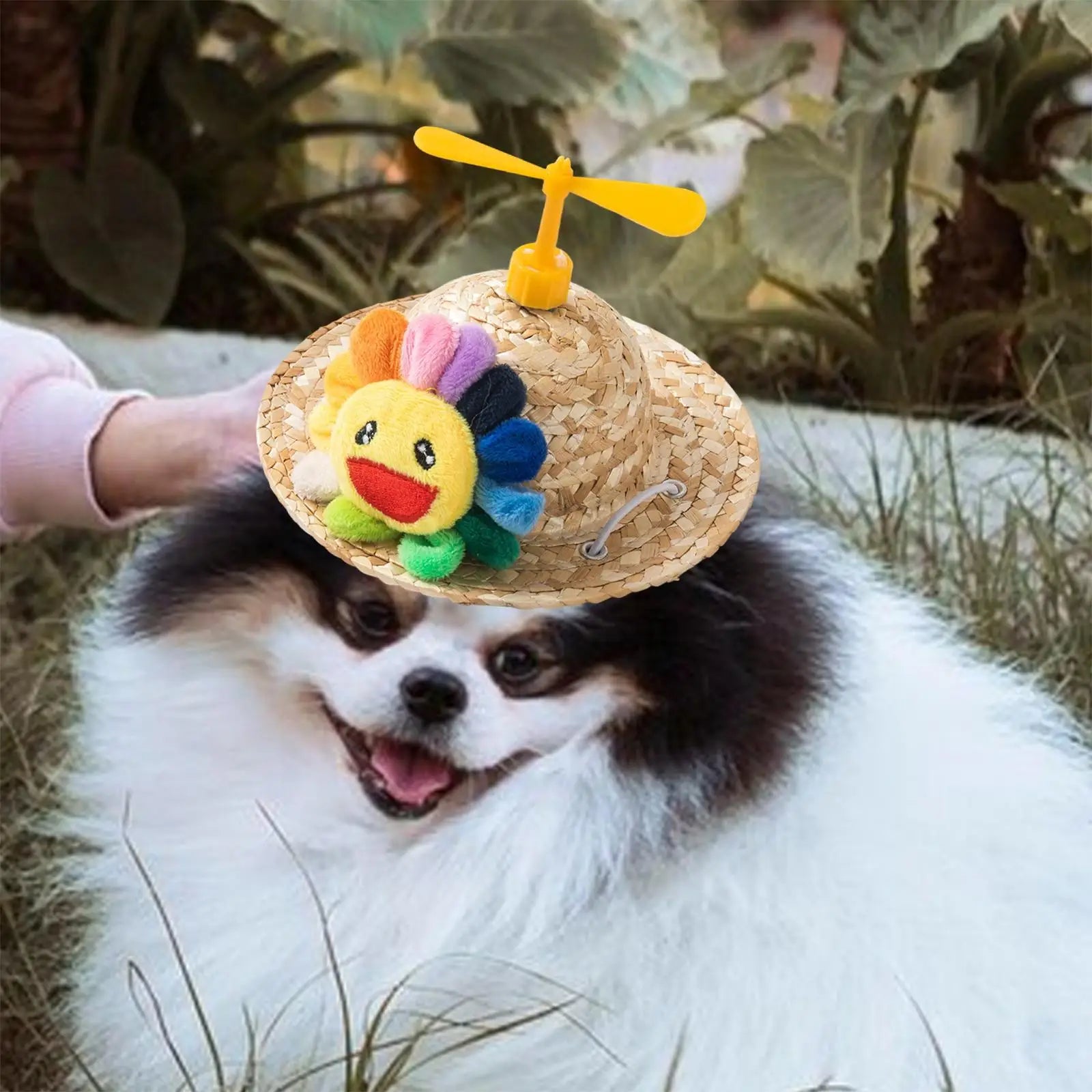 6