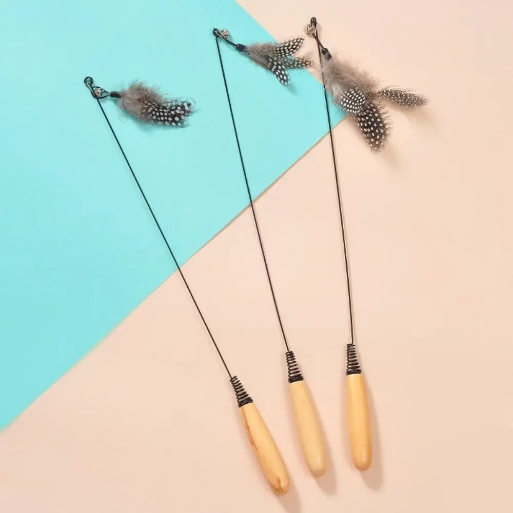 24