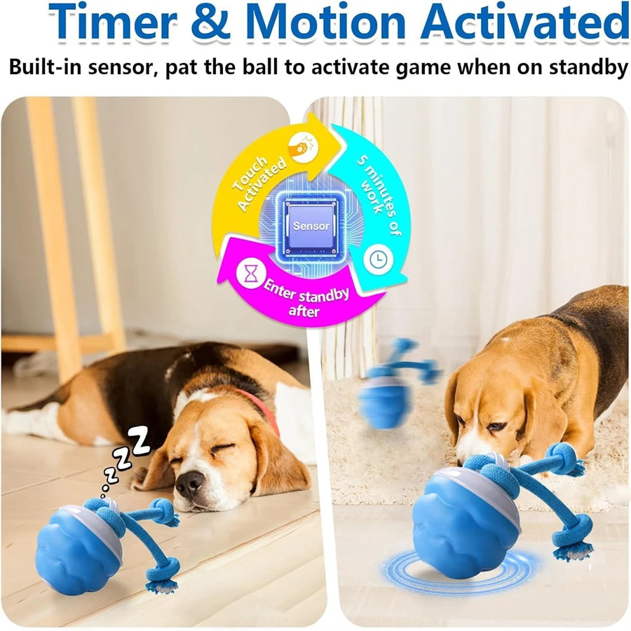 25