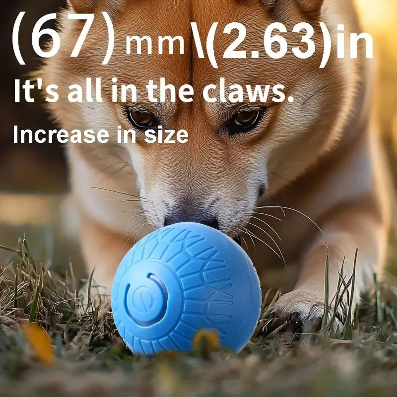 26